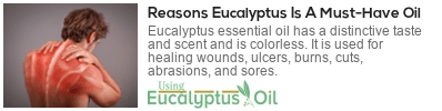  eucalyptus oil medicinal uses