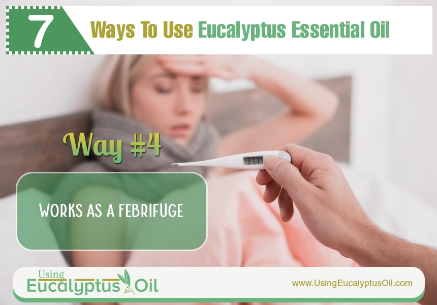  eucalyptus essential oil aromatherapy