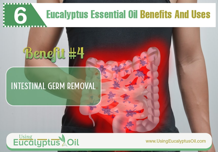 eucalyptus oil for skin